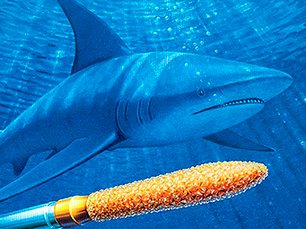 Fast wie beim Haifisch: WILOFA® REtARD